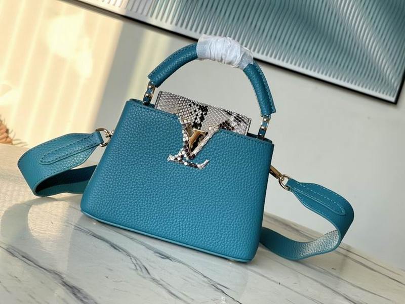 LV Handbags 31